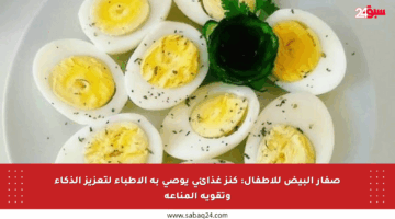 صفار البيض للأطفال: كنز غذائي يوصي به الأطباء لتعزيز الذكاء وتقوية المناعة